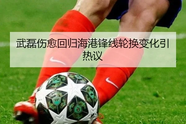 武磊伤愈回归海港锋线轮换变化引热议 | bet365app
