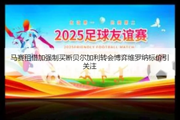 马赛租借加强制买断贝尔加利转会博弈维罗纳标价引关注 | bet365app